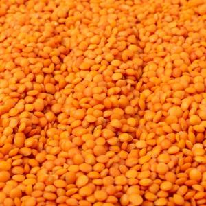 Masoor dal red Foot Ball 500g マスール豆 フットボール　高品質インド産赤大豆