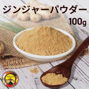 ジンジャーパウダー 100g  インド産 生姜 パウダー 生姜
