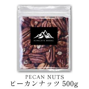 ピーカンナッツ 500g  Pecan nuts ナッツ ペカンナッツ