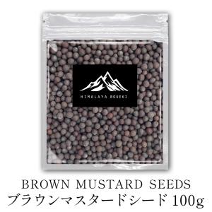 インド産 マスタードシードブラウン 100g  マスタード