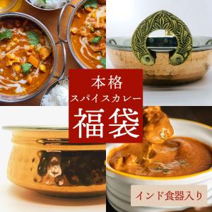 福袋 スパイスセット 2種 + インド食器 2皿 2022 スパイスセット  カレー カレースパイス カレーセット バターチキンカレー ポークビンダル―