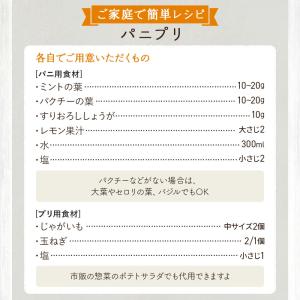 パニプリ セット 簡単 レシピ付き ストリート...の詳細画像2