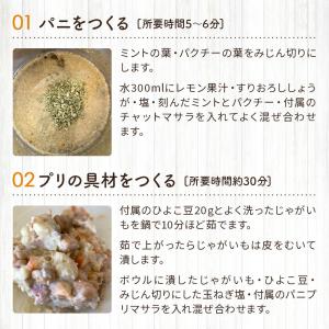 パニプリ セット 簡単 レシピ付き ストリート...の詳細画像3
