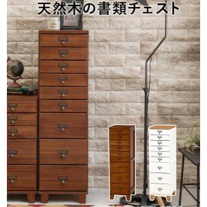 カルテ収納チェスト 書類庫 A4クリアファイル 保管庫 ボックス ラック