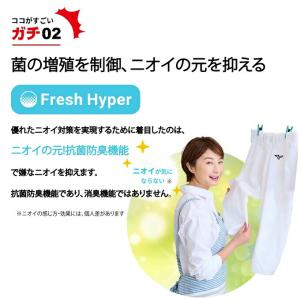 【沖縄県内(離島含)3,300円以上送料無料】...の詳細画像2