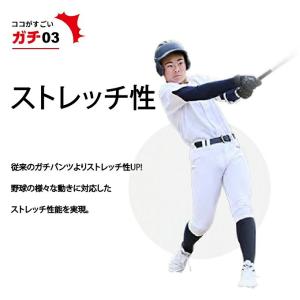 【沖縄県内(離島含)3,300円以上送料無料】...の詳細画像3