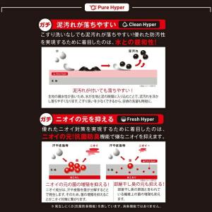 【沖縄県内(離島含)3,300円以上送料無料】...の詳細画像5
