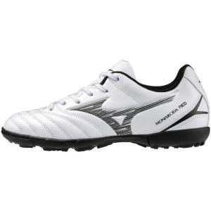 MIZUNO（ミズノ） モナルシーダ NEO SALA PRO IN MONARCIDA NEO
