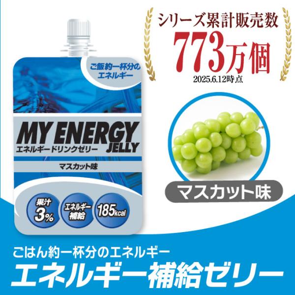 ビジョンクエスト Vision Quest サプリ エネルギーゼリー スポーツゼリー サプリ マスカ...