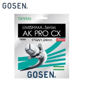 GOSEN（ゴーセン） 「ウミシマ AKプロCX17」TS761 硬式テニス