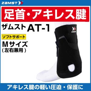 エムティージー MTG 体幹 トレーニング TAIKAN STREAM ADVANCE