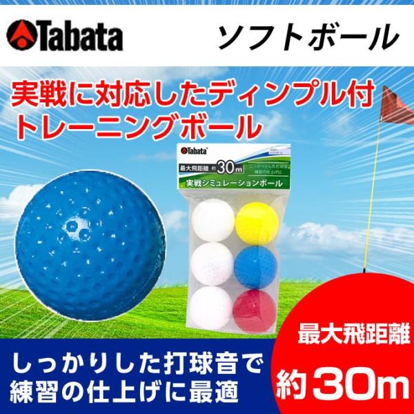 タバタ Tabata ゴルフ 練習用 練習器具 ソフトボール GV-0311