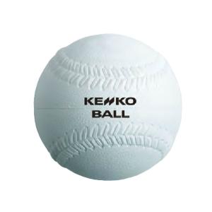 ケンコー ソフトボール ボール 2号 試合球 KENKO2号箱 S2CP6NEW KENKO