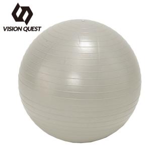 ビジョンクエスト VISION QUEST ジムボール ノンバーストジムボール65 VQ580105I12