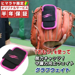 フィールドフォース 野球 トレーニング用品 グラブウェイト FGWT-250G FIELDFORCE｜himaraya