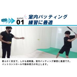 フィールドフォース 野球 トレーニングボール ...の詳細画像3