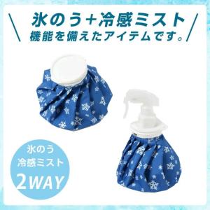 アイシング 冷えプシュ ヒエプシュ 氷のう 氷...の詳細画像1