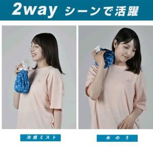 アイシング 冷えプシュ ヒエプシュ 氷のう 氷...の詳細画像2