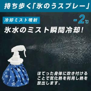 アイシング 冷えプシュ ヒエプシュ 氷のう 氷...の詳細画像3