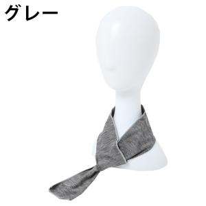 イチーナ ICHINA クールネック 接触冷感...の詳細画像1