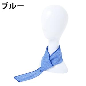 イチーナ ICHINA クールネック 接触冷感...の詳細画像2