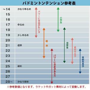 ミズノ バドミントンラケット フォルティウス ...の詳細画像3
