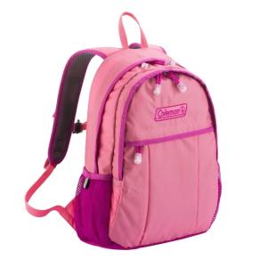 THE NORTH FACE（ザ ノースフェイス） リュック 21L キッズ BCヒューズ