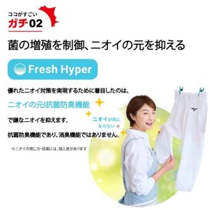 【送料無料】 ミズノ 野球 練習着 パンツ ジ...の詳細画像2