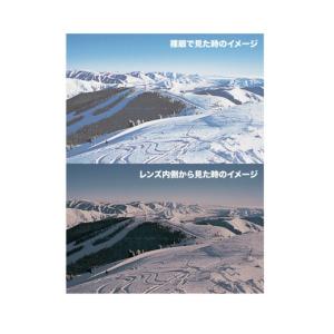 【予約】【早期品番】スワンズ スキー スノーボ...の詳細画像5