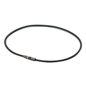 ファイテン phiten チタンネックレス RA...の商品画像