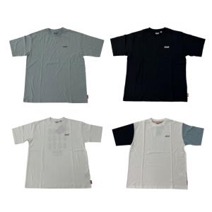 コールマン Tシャツ 半袖 メンズ バックランタンロゴ SS T X5339A Coleman｜himaraya