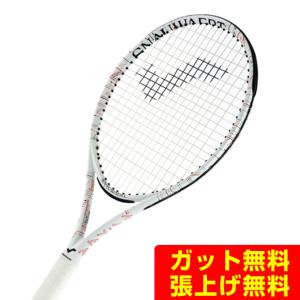 スノワート SNAUWAERT 硬式テニスラケット Hi-Ten 100 TEAM SRH308｜himaraya