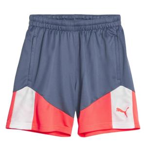 プーマ サッカーウェア ハーフパンツ ジュニア IN CUPトレーニングショーツJ 658876-53 PUMA｜himaraya