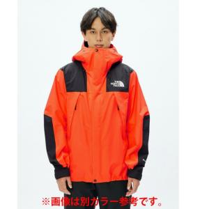 ザ・ノース・フェイス マウンテンパーカー ゴア...の詳細画像2