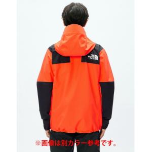 ザ・ノース・フェイス マウンテンパーカー ゴア...の詳細画像4