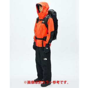 ザ・ノース・フェイス マウンテンパーカー ゴア...の詳細画像5