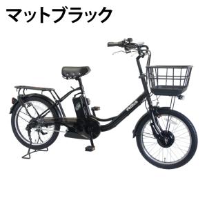 【8月下旬発送】ペルテック PELTECH 電...の詳細画像1