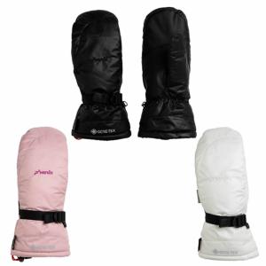 THE NORTH FACE（ザ ノースフェイス） スキーグローブ メンズ