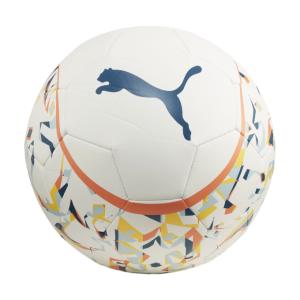 プーマ サッカーボール 5号球 NJR グラフィックボール 084232-01 5G PUMA｜himaraya