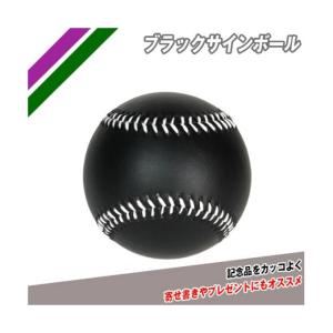 フィールドフォース FIELDFORCE 野球 サインボールケース ブラック FSB-0905 BLK｜himaraya