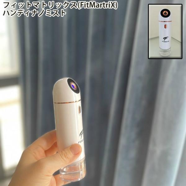 【送料無料】 【どこでも保湿美容】 ハンディミスト ポケットスチーマー ハンディナノミスト フィット...