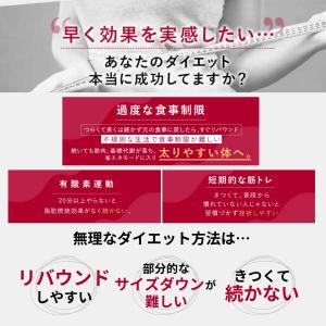 セルゼロ CELLZERO セルゼロスマートC...の詳細画像3