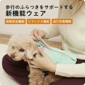 ☆IDOG UNAGE ウェルネスウェア 背中...の詳細画像5