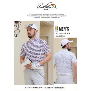 アーノルドパーマー arnold palmer...の詳細画像1