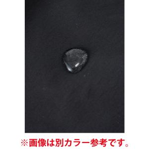 ザ・ノース・フェイス ベスト メンズ レディー...の詳細画像2