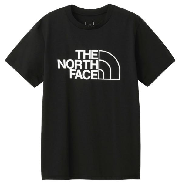 ザ・ノース・フェイス Tシャツ 半袖 メンズ SS ES BIG LOGO T ショートスリーブイー...