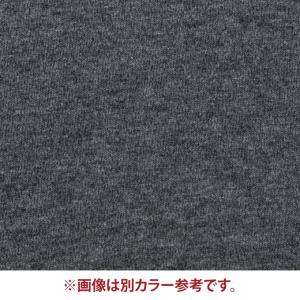 ザ・ノース・フェイス Tシャツ 半袖 メンズ ...の詳細画像2