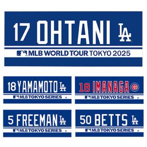 2026 WBC 大谷 翔平 (B) 日本代表 ビッグうちわ WORLD BASEBALL