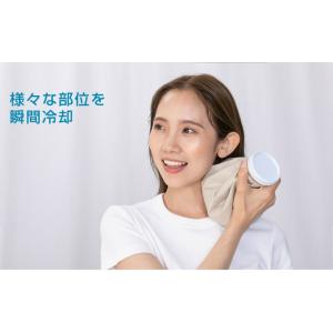涼感アイテム Icy氷嚢 M GJ-ヒョウノウ...の詳細画像1