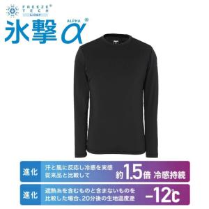 氷撃α インナーウェア メンズ レディースの高価買取価格